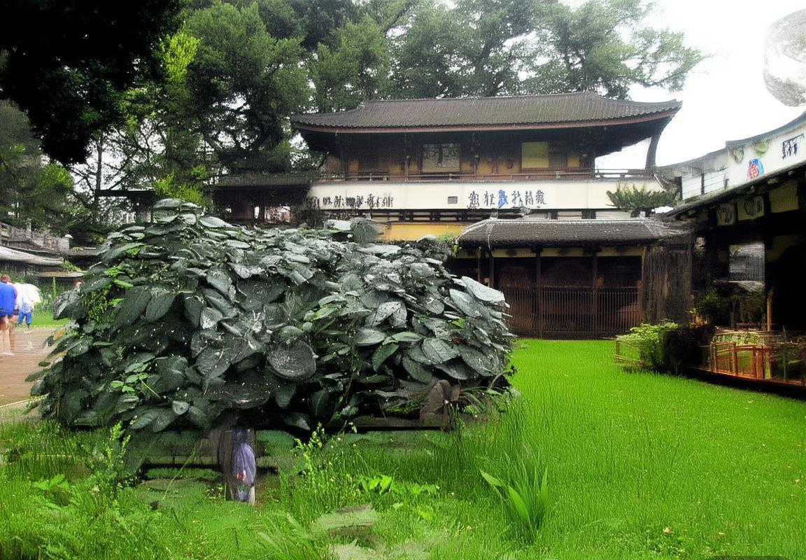 拜仁慕尼黑力克不莱梅，德甲焦点战数据解析(图2)